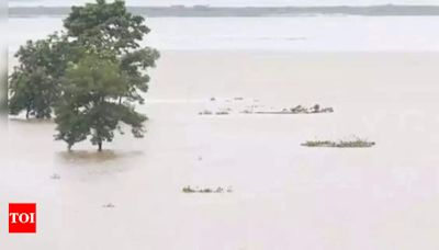 Flood situation in Assam's Nagaon continues to be grim, thousands leaving homes for safety | Guwahati News - Times of India