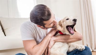Dog's Hilarious Reaction Each Time Boyfriend Is Over: 'Favorite Human'