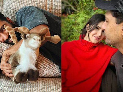 PHOTO: Vicky Kaushal Enjoys 'Lazy Sunday' After Bad Newz Success, Turns Muse For 'Biwi' Katrina Kaif