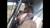 Baby rhino rescued via helicopter after poachers kill its mother