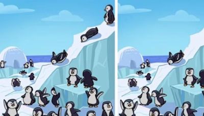 Solo los fans de Pingu resuelven este acertijo: halla las diferencias entre las imágenes en 9 segundos