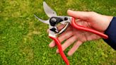 Felco 6 Bypass Pruner review