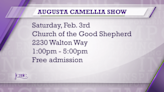 JENNIE: Augusta Camellia Show Saturday, Feb. 3rd