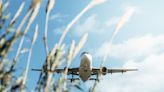 What Is Sustainable Aviation Fuel, and Will It Really Make Flying Greener?