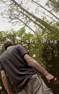 In the Pines