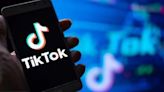 TikTok: por qué Estados Unidos, Canadá y la Comisión Europea prohibieron que sus funcionarios utilicen la red social en sus teléfonos oficiales