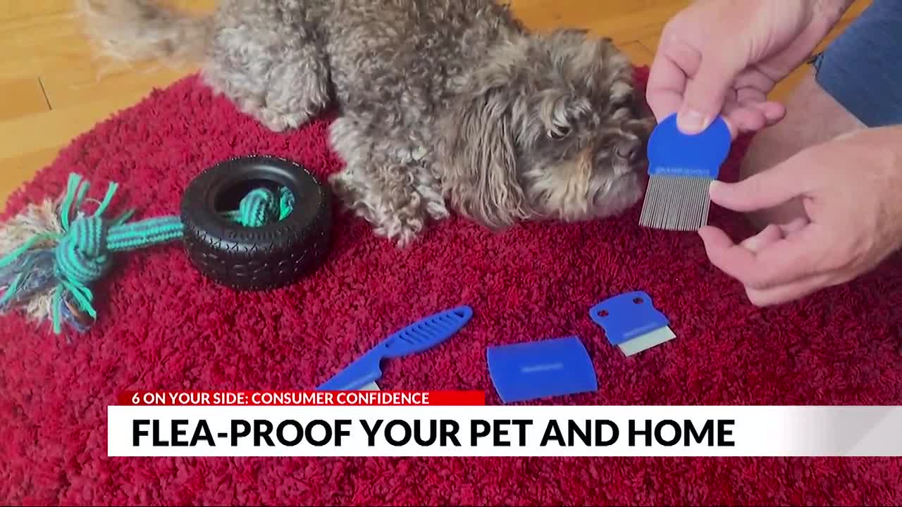 6 On Your Side: Consumer Confidence, Flea-proof your pet and home