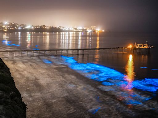 Red Tides Off Southern California Coast Are Getting Worse, New Scripps Study Finds