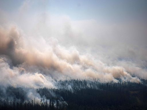 3,5 milhões de hectares já queimaram nas florestas da Rússia em 2024