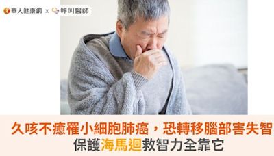 久咳不癒罹小細胞肺癌，恐轉移腦部害失智！保護海馬迴救智力全靠它 | 蕃新聞