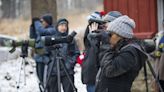 After 80 years of bird watching, local Audubon seeks more inclusive, youthful name