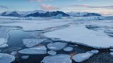 Más de la mitad de los argentinos se interesa en temas ambientales y reconoce el cambio climático