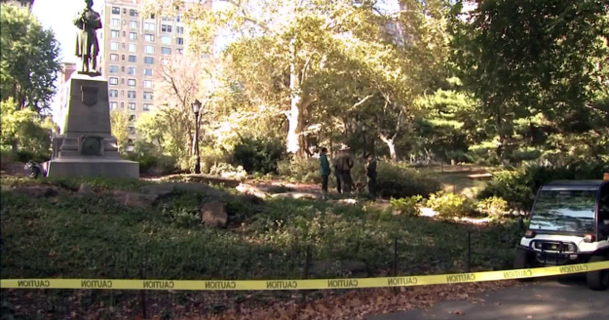 RFK Jr. admits putting dead bear cub and old bicycle in New York City's Central Park nearly 10 years ago