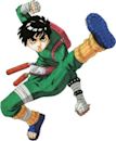 Rock Lee