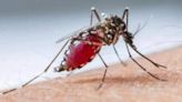 Bengaluru reports its first dengue-related death this year: Report