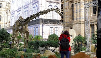 Fern the dinosaur takes centre stage at London Natural History Museum's newly revamped gardens