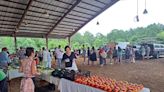 Farmers market in Rock Spring returns for 20th season | Chattanooga Times Free Press