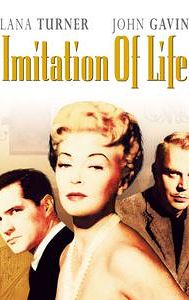 Imitation of Life (1959 film)