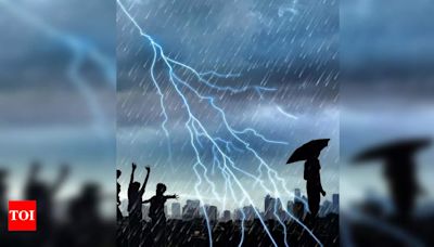 Tragic Lightning Strike Claims Life of 12-Year-Old Boy in Dantewada, Injures Two Girls | - Times of India