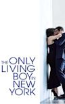 The Only Living Boy in New York (film)