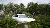 Florida residents who rode out Hurricane Idalia had to 'swim out of their windows,' couple say