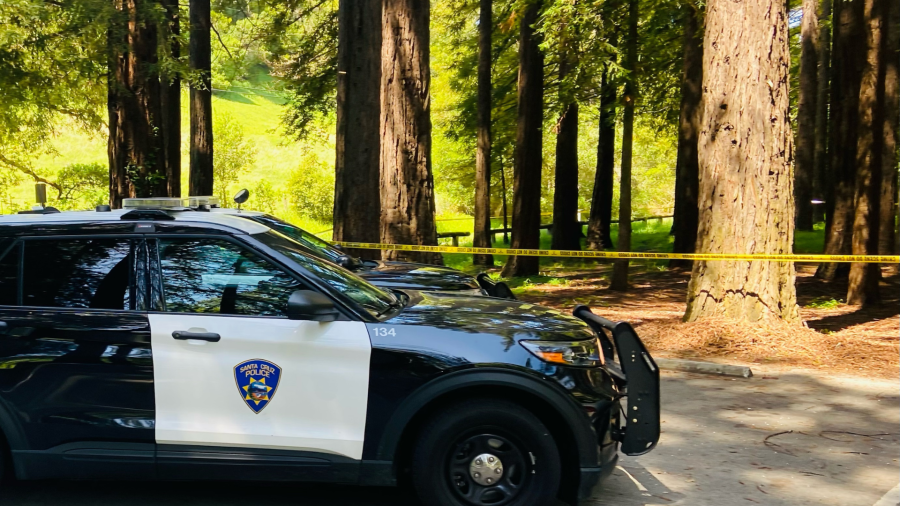 Arrest made in Santa Cruz DeLaveaga Park homicide