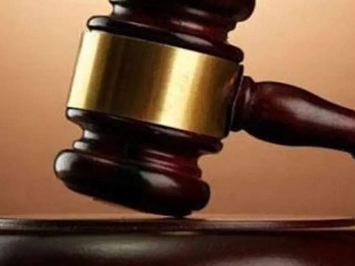 Manipur HC directs Manipur govt to withdraw long-pending criminal cases against three former cadres of Mizo National Front - The Economic Times