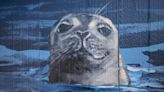 Mural brings wild animals, marine creatures to life in Downtown Everett | HeraldNet.com