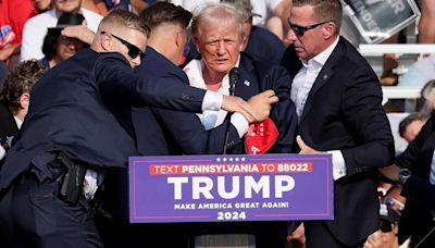 "Shocked": Tim Cook, Sundar Pichai Condemn Attack On Donald Trump At US Rally