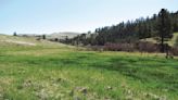 Nez Perce Tribe lands grant for habitat restoration in Wallowa County