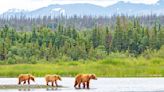 Yes, These 10 National Parks of the Pacific Northwest Are Really This Breathtaking in Real Life