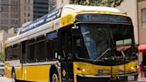 DART expands new bus routes, on-demand service