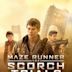 Maze Runner - Prova de Fogo