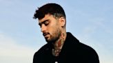 Zayn Says Daughter Khai Named the Turtles on His Farm After These Iconic TV Show Characters