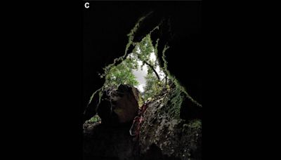 Una ‘criatura’ descubierta en una cueva en Serbia resulta ser una especie nueva