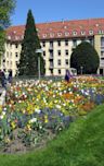 University of Freiburg Faculty of Medicine