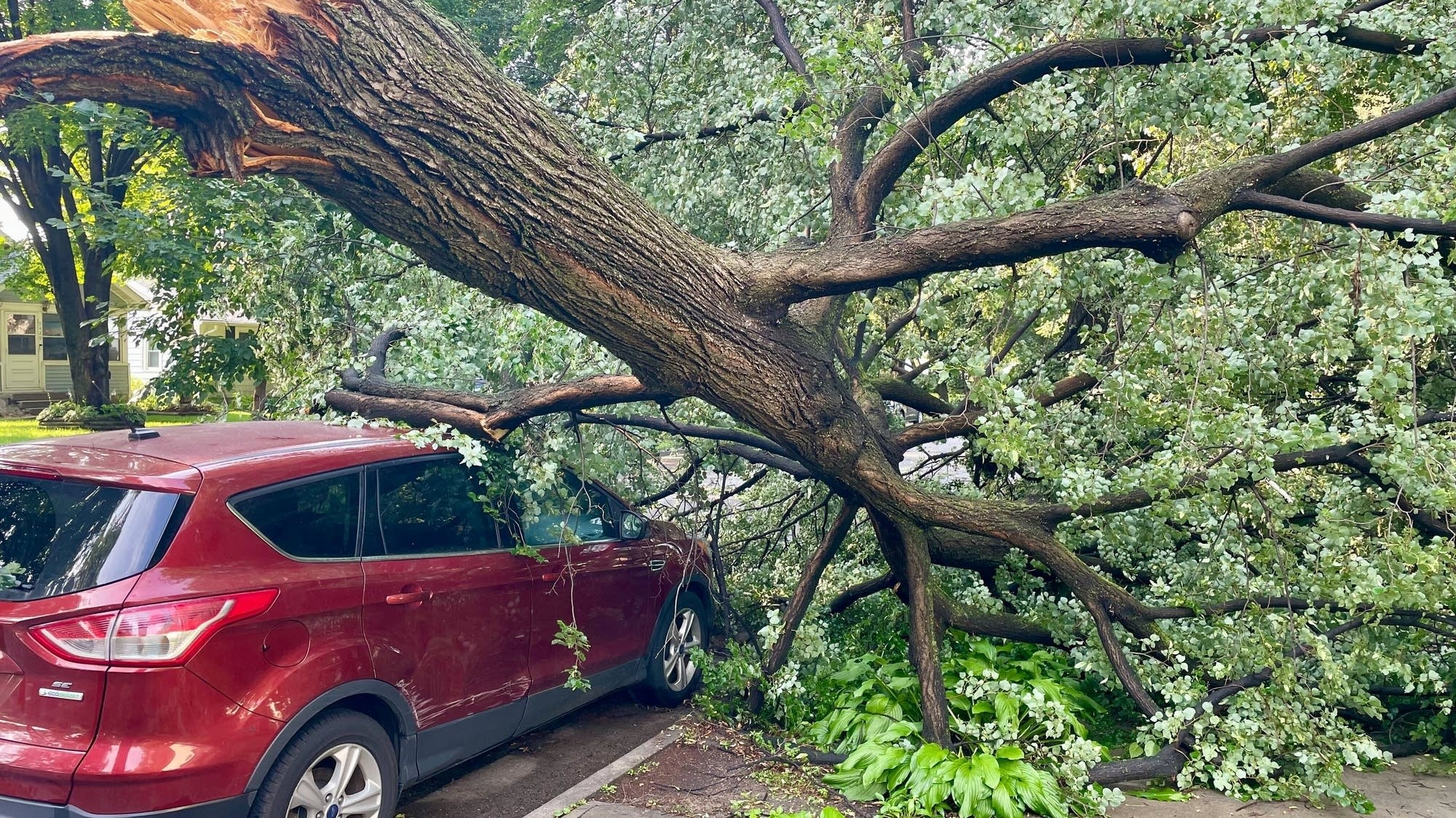 Thousands remain without power across Minnesota in wake of weekend storms