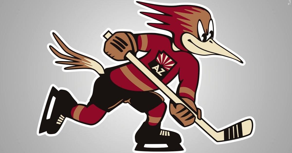 AHL to vote on Tucson Roadrunners' plans for 2024-2025 season