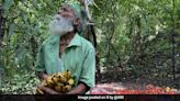 Kerala Climate Activist, Kallur Balan Devotes His Life To Environmental Conservation | Environment