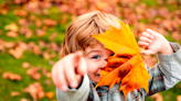 Canción del otoño infantil: ¡las 12 más bonitas!