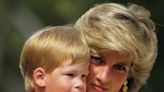 Prince Harry’s Latest Parenting Decision Has To Be a Speedy One — & Princess Diana Must Be On His Mind