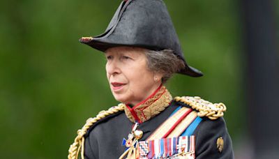 Princess Anne Hospitalized for Head Injury: Horses Suspected