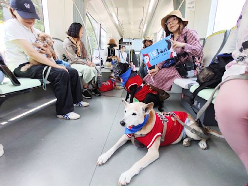 高市首創「狗狗藝文輕旅行」 帶毛小孩坐捷運不是夢