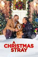 A Christmas Stray - Z Movies