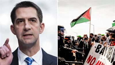 Sen. Tom Cotton wants to get tough on anti-Israel protesters: ‘Painful to have their skin ripped off’