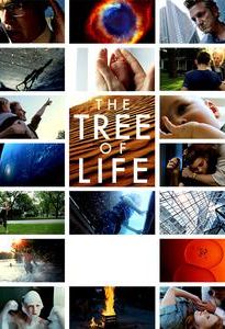 The Tree of Life