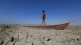 En fotos. El rastro que dejó el cambio climático en 2022: inundaciones, sequías, huracanes, incendios y animales muertos