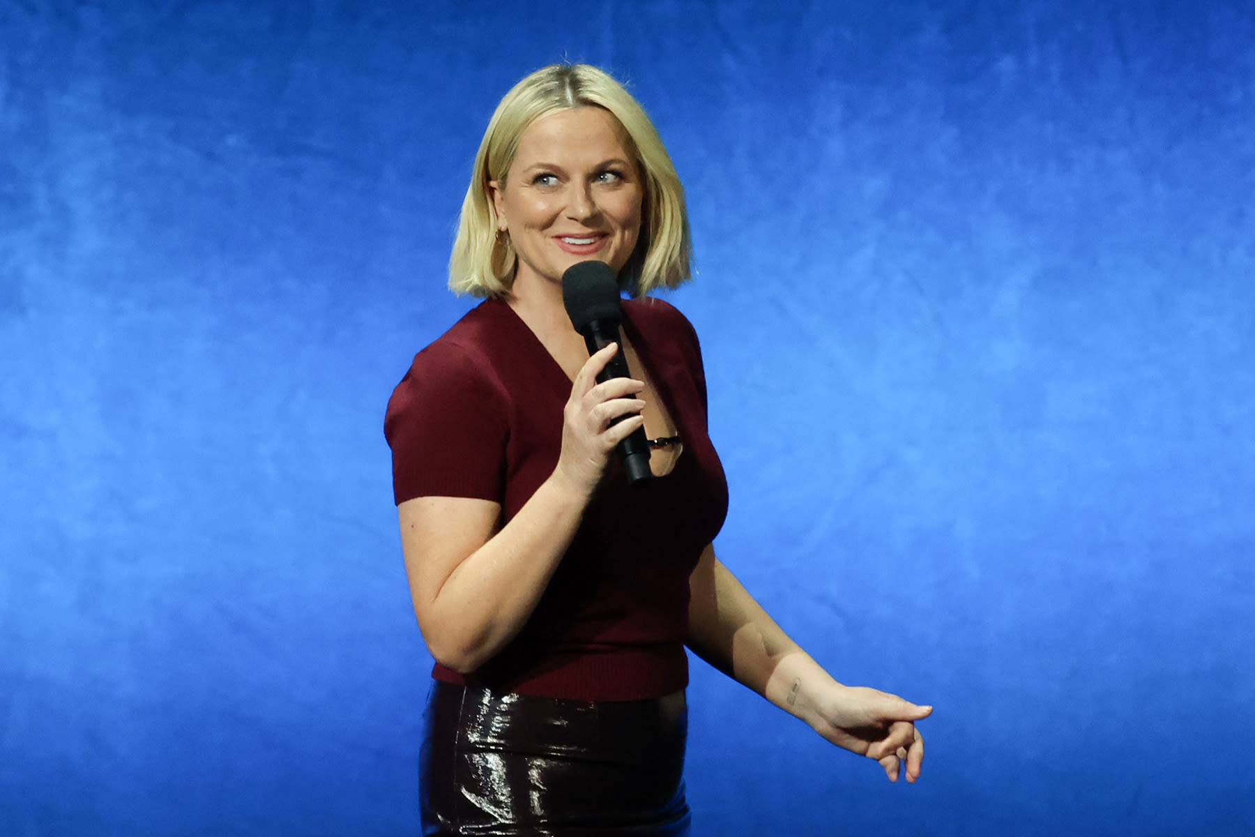 Amy Poehler Finally Explains Creepy Yo La Tengo Cover Art