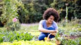 People Who Garden May Have Better Sleep Quality, Study Finds