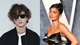 Fans bewildered by Timothée Chalamet and Kylie Jenner dating rumours